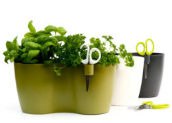Double Herb Pot With Scissors white